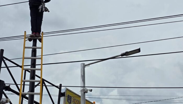 PLN Icon Lakukan Perapihan dan Pendataan kabel ilegal di Tiang PLN Kota Sidoarjo, Demi Estetika dan Jaga Keandalan Jaringan