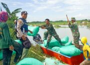 Bersama Masyarakat, Babinsa Koramil 10/Kanor Bojonegoro Perbaiki Tanggul Ambrol di Desa Kedungprimpen