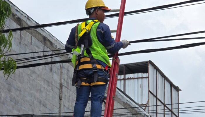 Lakukan Penataan dan Pendataan Kabel Ilegal di Tiang PLN Kediri, PLN Icon Plus Berkomitmen Jaga Keandalan Jaringan
