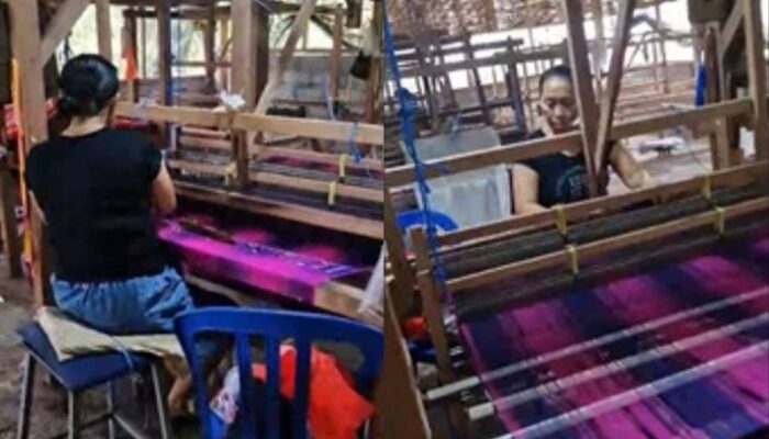PLN UIP JBTB Jelang Nataru Dukung Berdayakan Kelompok Perempuan Lestarikan Tenun Sutera Tradisional Bali