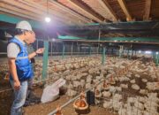 Momen Nataru, Tarif Listrik TW I 2025 Tetap, PLN Pastikan Keandalan Listrik bagi Masyarakat Jadi Prioritas Utama