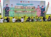 Danrem 082/CPYJ Panen Raya Padi bersama Kelompok Tani Mulyorejo