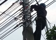 Laksanakan Penataan dan Pendataan Kabel Ilegal di Tiang PLN Sidoarjo, PLN Icon Plus Konsisten Jaga Keandalan Jaringan