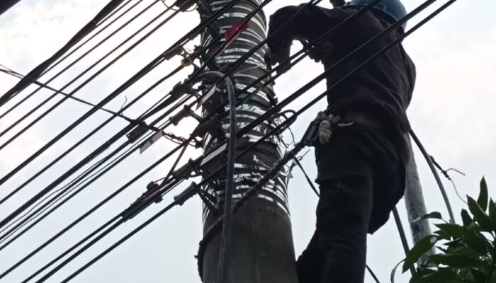 Laksanakan Penataan dan Pendataan Kabel Ilegal di Tiang PLN Sidoarjo, PLN Icon Plus Konsisten Jaga Keandalan Jaringan