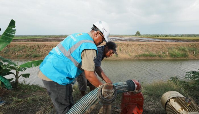 Momen Tahun Baru PLN Dukung Tranformasi Pertanian Modern, Electrifying Agriculture Raih 53.539 Pelanggan Baru di 2024