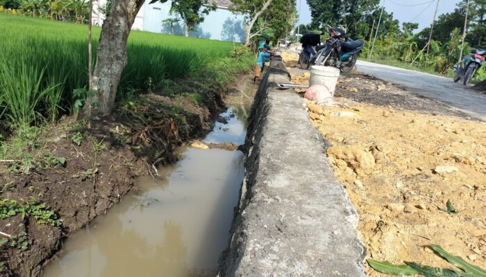 Manfaatkan Dana APBD Pemkab Lamongan, Pemdes Sumberagung Sukses Bangun 2 TPT