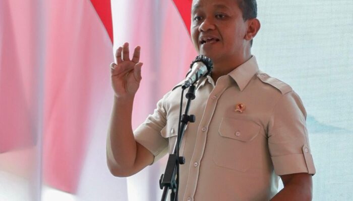 Momen Tahun Baru, Presiden Prabowo Resmikan Proyek Strategis Ketenagalistrikan Terbesar di Dunia