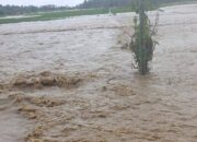 Banjir Bengawan Solo Rendam 5 Kecamatan di Bojonegoro, BPBD Pantau TMA Siaga 3