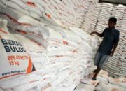Bulog Bojonegoro Bidik Serapan Gabah Maksimal di 2025: Jemput Bola Jadi Strategi Utama