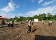 Kapolsek Bonggo Polda Papua Lakukan Penanaman Jagung Dan Kacang Tanah. Dukung Ketahanan Pangan.