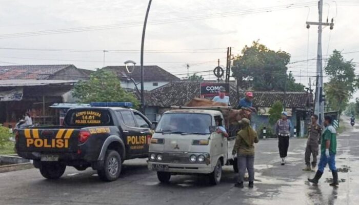 Memutus Mata Rantai Penularan PMK, Disnakkan Bojonegoro Akan Tutup Sementara Transaksi Jual Beli Ternak di Pasar Hewan