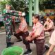 Img 20250201 Wa0188