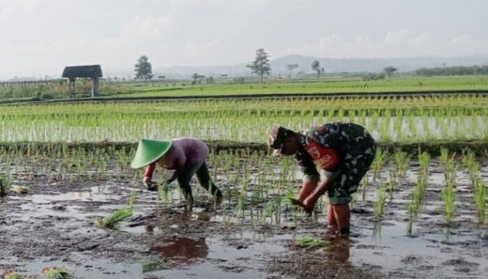 Target LTT Januari Selesai, Ini Persentase Tertinggi dan Terluas di Jajaran Korem 081/DSJ