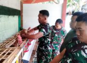 Koramil Jajaran Kodim 0813 Bojonegoro Galakan Budidaya Ayam Petelur, Dukung Ketahanan Pangan