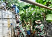 Babinsa Koramil Kanor Bojonegoro bantu Evakuasi Pohon Roboh yang Menimpa Rumah Warga