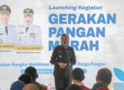 Wabup Nurul Azizah Launching Gerakan Pangan Murah