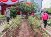 Polres Bojonegoro dan Bhayangkari Dukung Ketahanan Pangan Lewat Peluncuran P2L