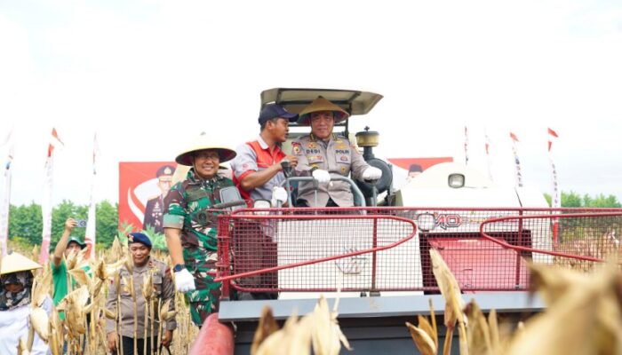 Wujud Dukung Asta Cita, Irwasum Polri Pimpin Panen Raya Jagung Serentak di Madiun