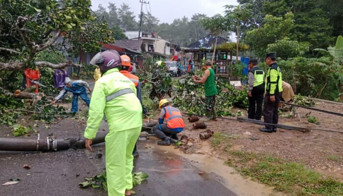 Sinergitas TNI-Polri, TRC, dan BPBD Trenggalek Siap Sigap Hadapi Bencana