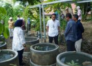 Bupati dan Wakil Bupati Bojonegoro belajar mengelola buis beton ikan lele di Banyumanik Research Center ( BRC )