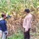 Img 20250312 wa0066