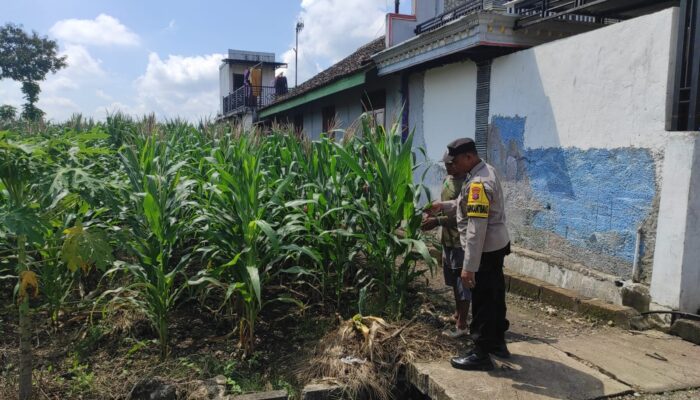 Polsek Bubulan Cek Lokasi Pemanfaatan Pekarangan Bergizi