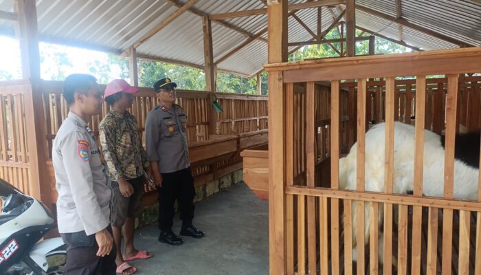 Sambang peternak Kambing, Kapolsek Dander: Jaga Kesehatan dan Kualitas Ternak