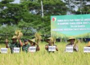 Brigjen TNI Ramli Ngaku Puas dengan Hasil Ketahanan Pangan di Wilayah Kodim Lamongan