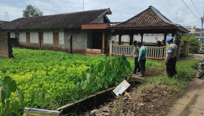 Dukung Ketahanan Pangan Nasional, Polsek Bubulan Cek Lahan Tanaman Bergizi