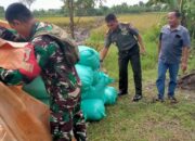 Sinergi TNI dan Petani dalam Rangka Mewujudkan Ketahanan Pangan 