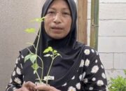 Tingkatkan Kesejahteraan, Pemkab Bojonegoro Berikan  Bantuan Bibit Tanaman Sayuran