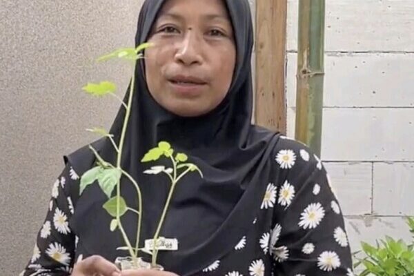 Tingkatkan Kesejahteraan, Pemkab Bojonegoro Berikan  Bantuan Bibit Tanaman Sayuran