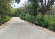 Pemkab Bojonegoro Terus Fokus Pembangunan Jalan