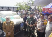 Produktivitas Padi di Ngawi Diprediksi Meningkat