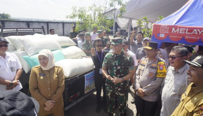 Produktivitas Padi di Ngawi Diprediksi Meningkat