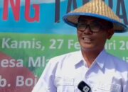 Gemah Ripah Lohjinawi Hanya Dongeng: Petani Bojonegoro Merana Akibat Harga Pupuk Mahal