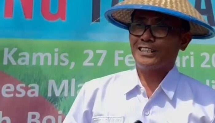 Gemah Ripah Lohjinawi Hanya Dongeng: Petani Bojonegoro Merana Akibat Harga Pupuk Mahal