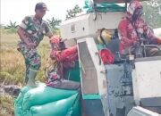 Pengiriman 2 Ton Gabah Petani Hasil Sergab ke Bulog di Kawal Babinsa Tambakrejo Bojonegoro