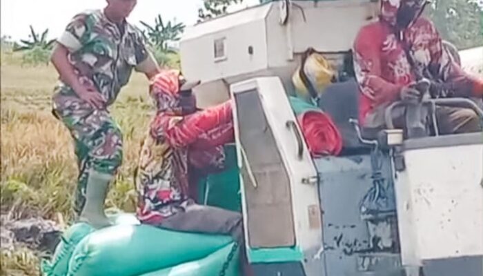 Pengiriman 2 Ton Gabah Petani Hasil Sergab ke Bulog di Kawal Babinsa Tambakrejo Bojonegoro