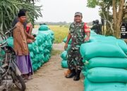 Babinsa Dander Bojonegoro bantu Bulog Serap Gabah Petani