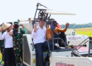 Bupati dan Wakil Bupati Bojonegoro Ikuti Panen Raya Padi di Sukorejo