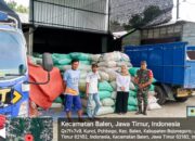 Sergab, Babinsa Balen Bojonegoro Kawal Distribusi 20 Ton Gabah