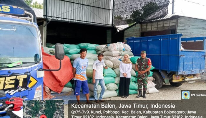 Sergab, Babinsa Balen Bojonegoro Kawal Distribusi 20 Ton Gabah