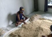 Harga Kedelai Melonjak, Penjual Tempe Kedungadem Meradang