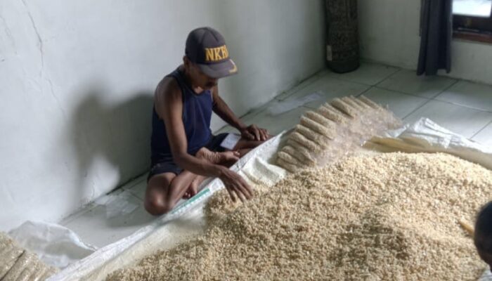 Harga Kedelai Melonjak, Penjual Tempe Kedungadem Meradang