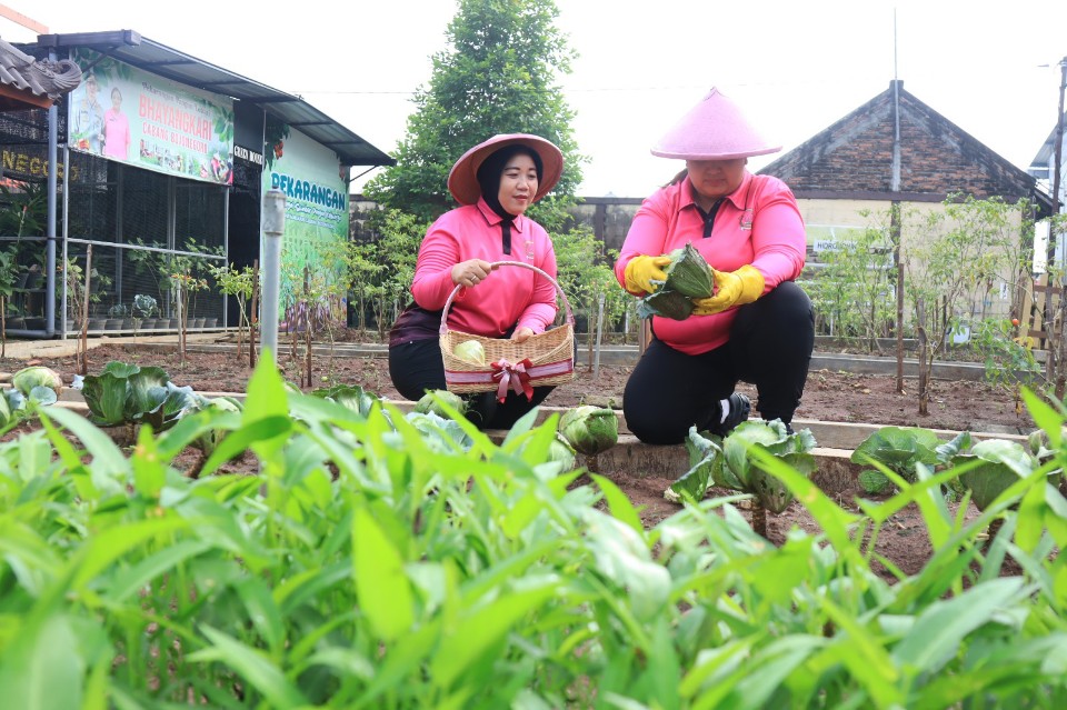 Img 20250510 wa0095 copy 960x639