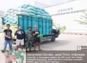 Babinsa Kodim Bojonegoro Dampingi Penyerapan Gabah Petani