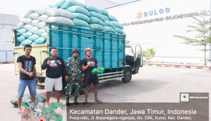 Babinsa Kodim Bojonegoro Dampingi Penyerapan Gabah Petani