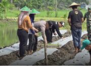 Sinergitas TNI-Polri Bersama Pemdes Pungpungan Tanami Lahan Kosong