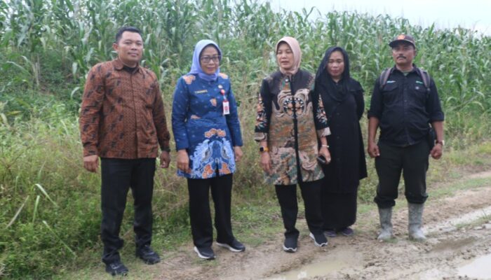 Waki Bupati Bojonegoro Responsif, Aspirasi Warga Dusun Tretes Ditampung